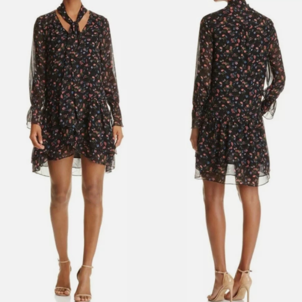 Jamira 100% Silk Chiffon Ruffle Peasant Dress